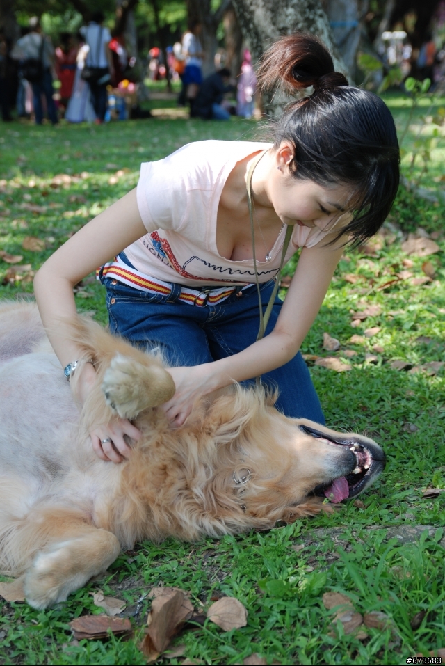 黃金獵犬跟女友一樣重...
