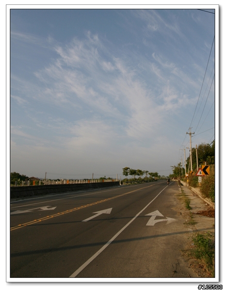 大崗山單車行-自行車道篇