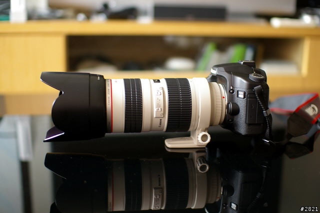 Canon 40D缺門聽牌的大三元