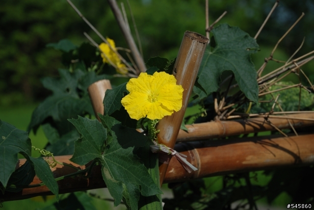 Nikon 16-85mm VR與Nikon 18-200mm VR拍攝圖檔比較(圖多...)
