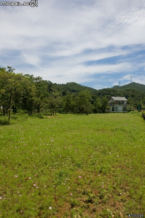 春末初夏拍蓮趣