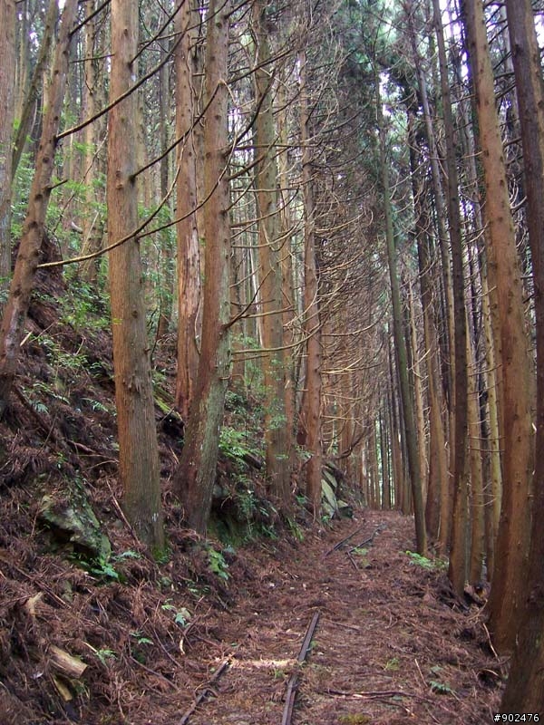 【山】百變加里山 6/28