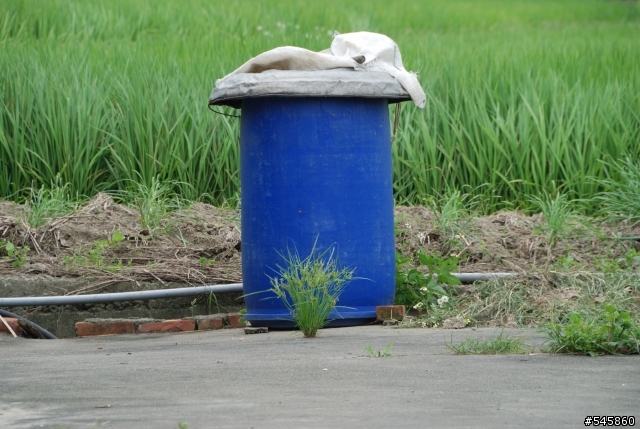 Nikon 16-85mm VR與Nikon 18-200mm VR拍攝圖檔比較(圖多...)