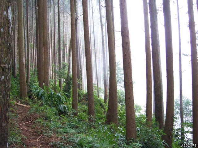 【山】百變加里山 6/28