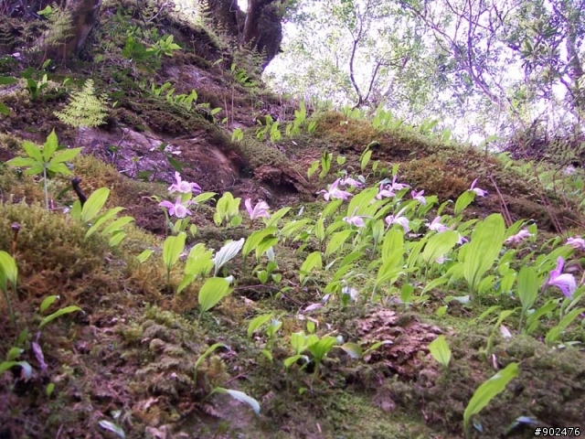 【山】百變加里山 6/28