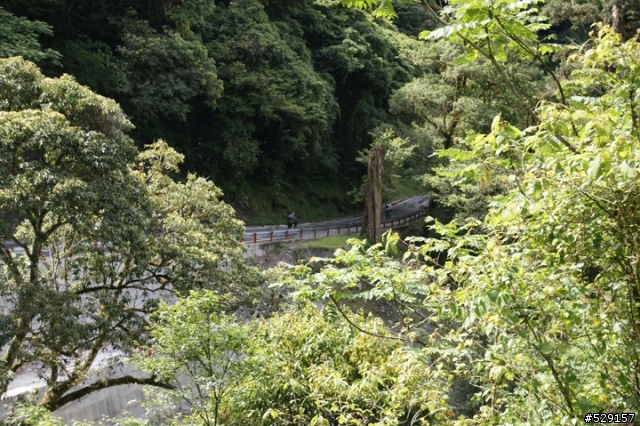 中橫 Bike (圖多)