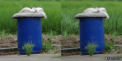Nikon 16-85mm VR與Nikon 18-200mm VR拍攝圖檔比較(圖多...)