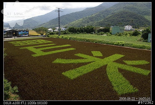 台北(板橋)→台東(知本)--絕色東台灣公路