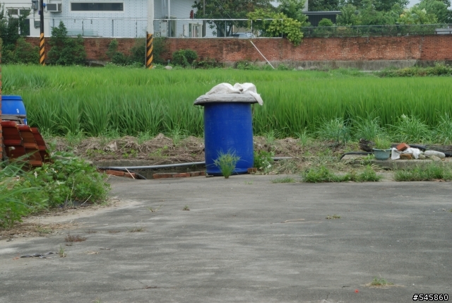 Nikon 16-85mm VR與Nikon 18-200mm VR拍攝圖檔比較(圖多...)