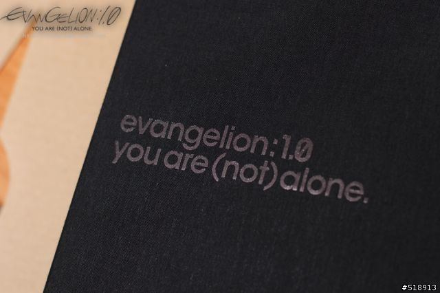 不朽之作EVAGELION 新劇場版:序全記錄全集