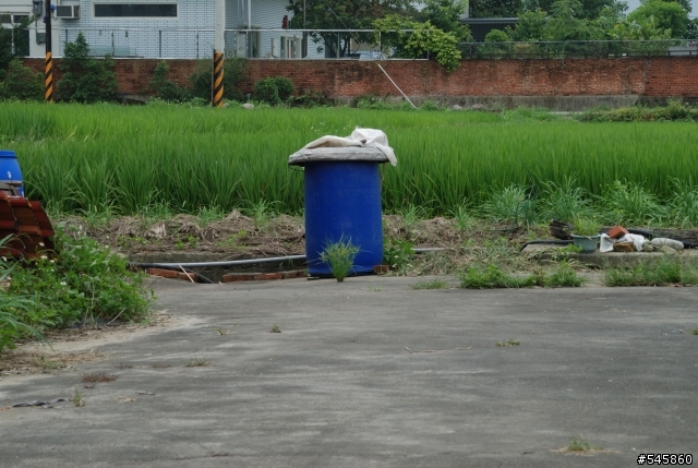 Nikon 16-85mm VR與Nikon 18-200mm VR拍攝圖檔比較(圖多...)