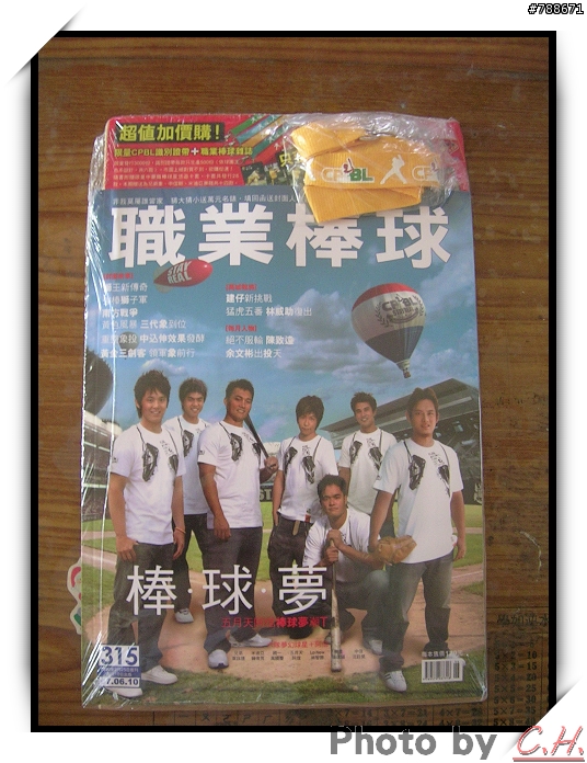 職業棒球第315期