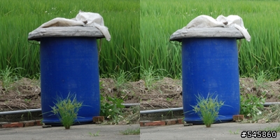 Nikon 16-85mm VR與Nikon 18-200mm VR拍攝圖檔比較(圖多...)