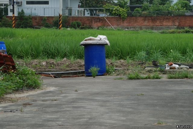 Nikon 16-85mm VR與Nikon 18-200mm VR拍攝圖檔比較(圖多...)