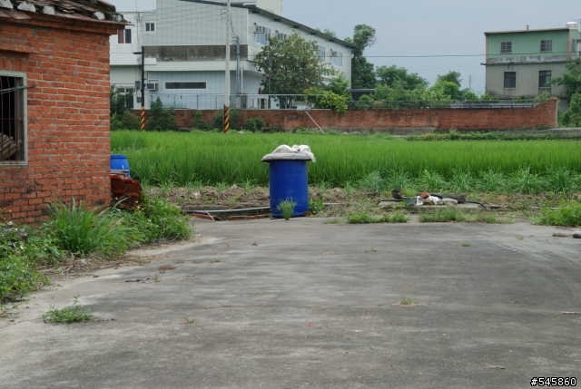 Nikon 16-85mm VR與Nikon 18-200mm VR拍攝圖檔比較(圖多...)
