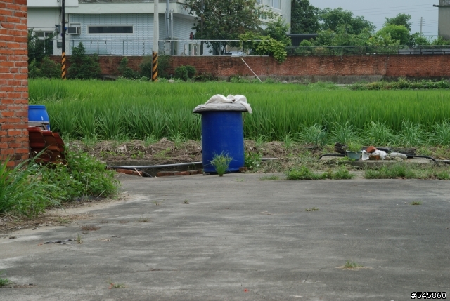 Nikon 16-85mm VR與Nikon 18-200mm VR拍攝圖檔比較(圖多...)