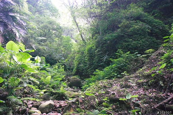 墓碑山