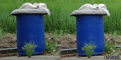 Nikon 16-85mm VR與Nikon 18-200mm VR拍攝圖檔比較(圖多...)