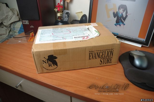 不朽之作EVAGELION 新劇場版:序全記錄全集