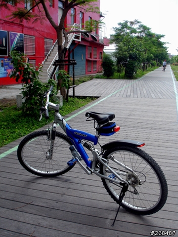 帶小藍Giant DS821回台東
