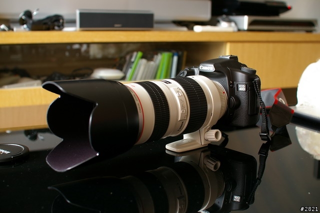 Canon 40D缺門聽牌的大三元