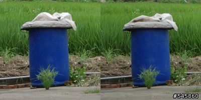 Nikon 16-85mm VR與Nikon 18-200mm VR拍攝圖檔比較(圖多...)