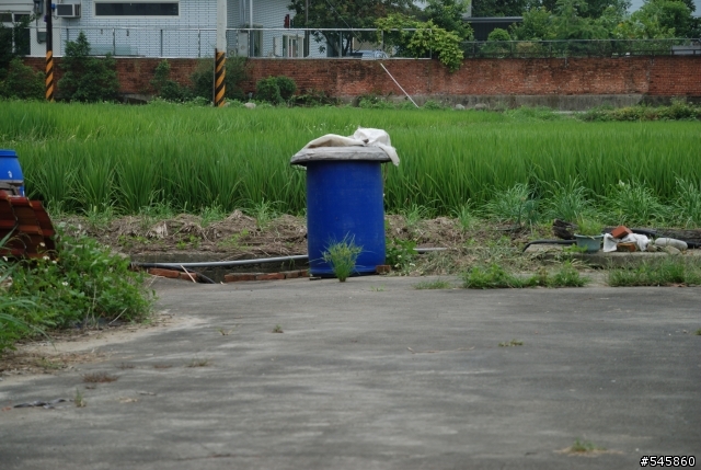 Nikon 16-85mm VR與Nikon 18-200mm VR拍攝圖檔比較(圖多...)