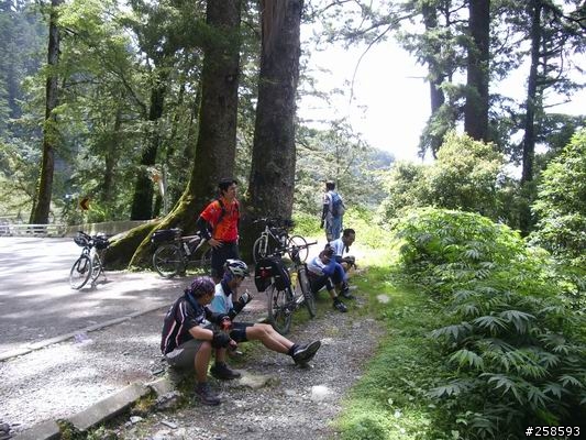 再上南橫(寶來~啞口)來回137km完成