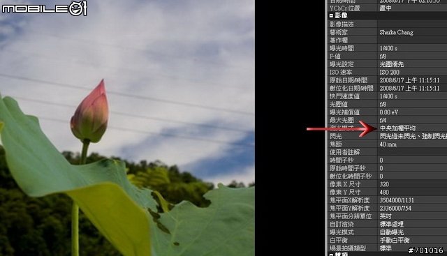 春末初夏拍蓮趣