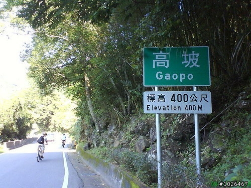 DAHON MU小折挑戰一日雙北