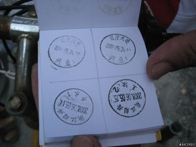 菜鳥第二次上路,龍柏到大觀園