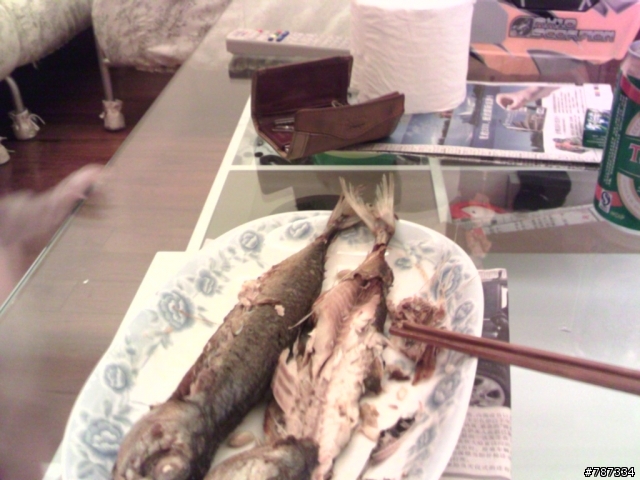 我最賢慧之....宅男系列...天子的宵夜.....