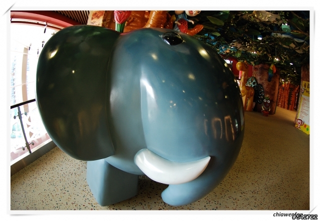 Tokina 10~17mm f3.5~4.5試拍照