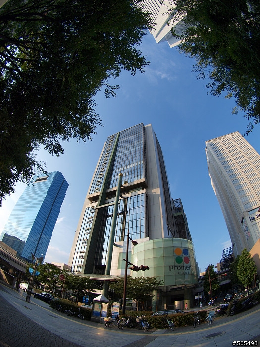 魚眼看世界 - ZUIKO DIGITAL ED 8mm F3.5 Fisheye