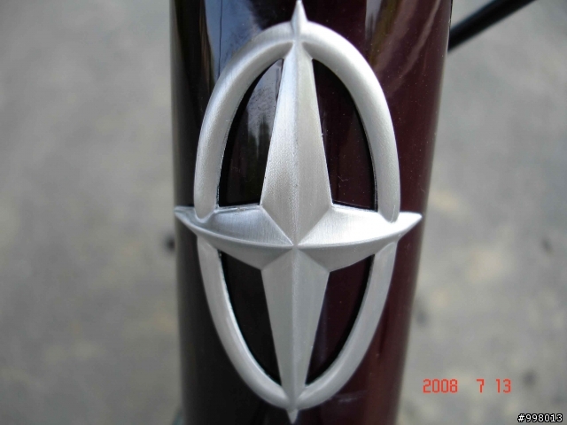 我的城市通勤車- SCHWINN GS