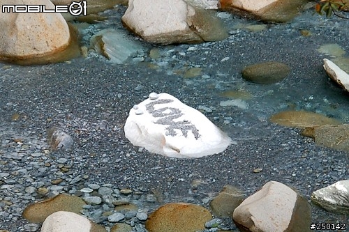【魚仔2008花蓮五天四夜遊記 D50 + A16II】