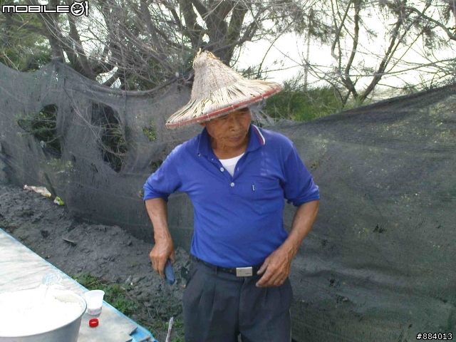 大蕃薯收成記!! ~圖有點多~