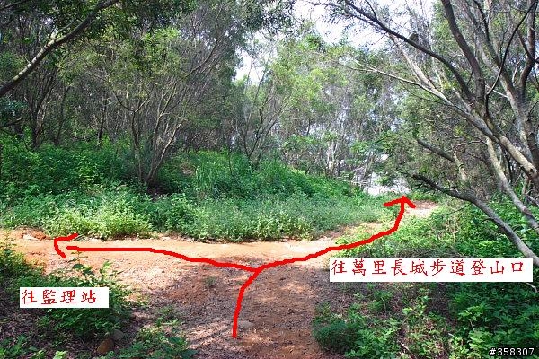 大肚:保安林登山步道(萬里長城登山步道)