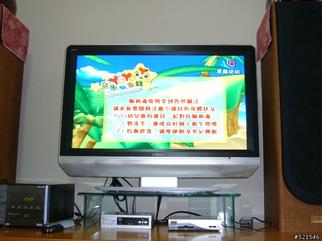 (D I Y ) 衛星電視來我家