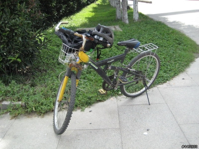 菜鳥第二次上路,龍柏到大觀園