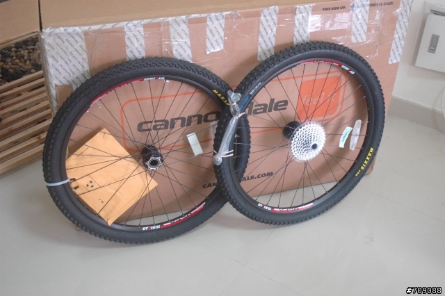 開箱囉 2009 Cannondale Rize 3