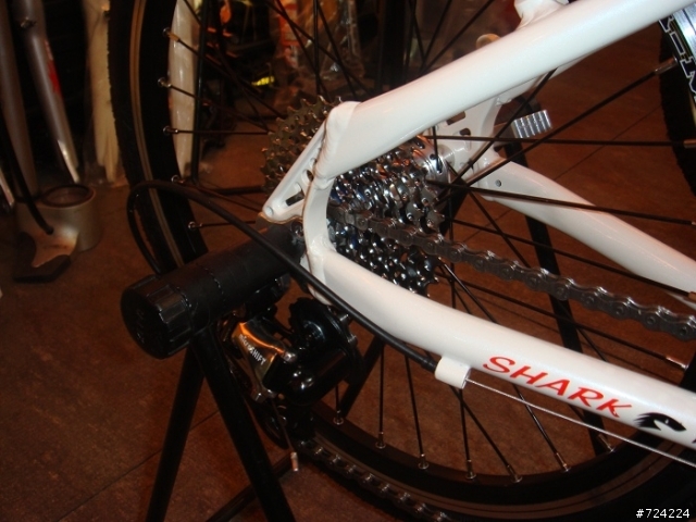 迷人的DAHON SP8~~遲來的快樂!