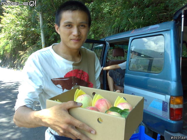 (推薦)拉拉山巴陵大橋水蜜桃