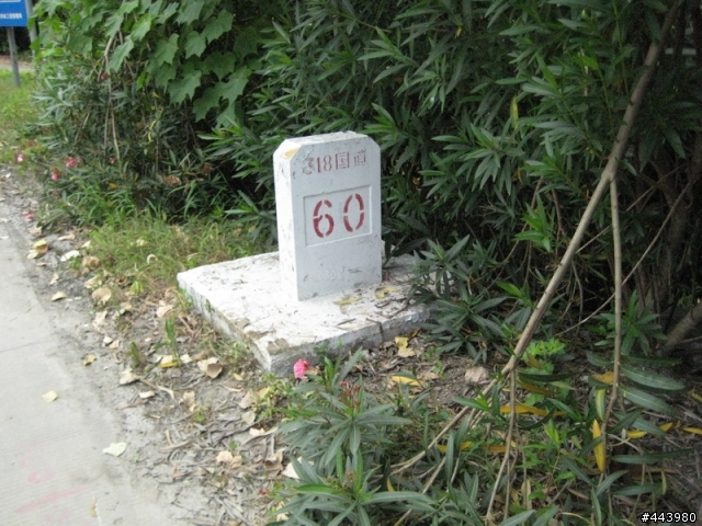 菜鳥第二次上路,龍柏到大觀園