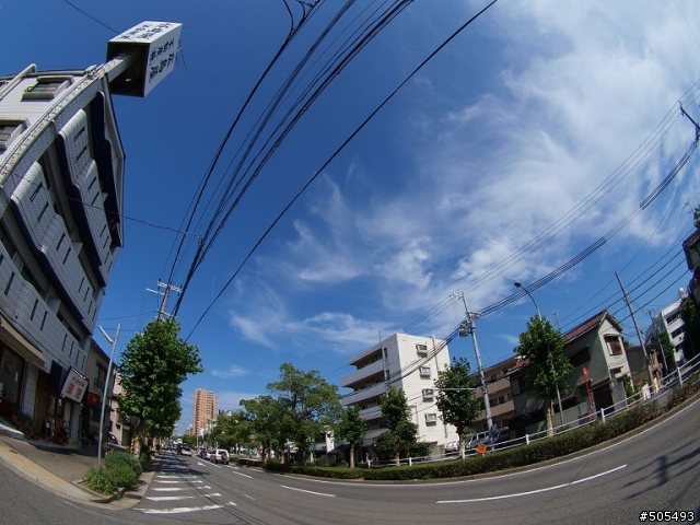 魚眼看世界 - ZUIKO DIGITAL ED 8mm F3.5 Fisheye