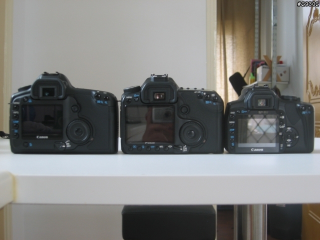 400D vs 40D vs 5D 外觀尺寸比較