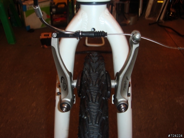 迷人的DAHON SP8~~遲來的快樂!