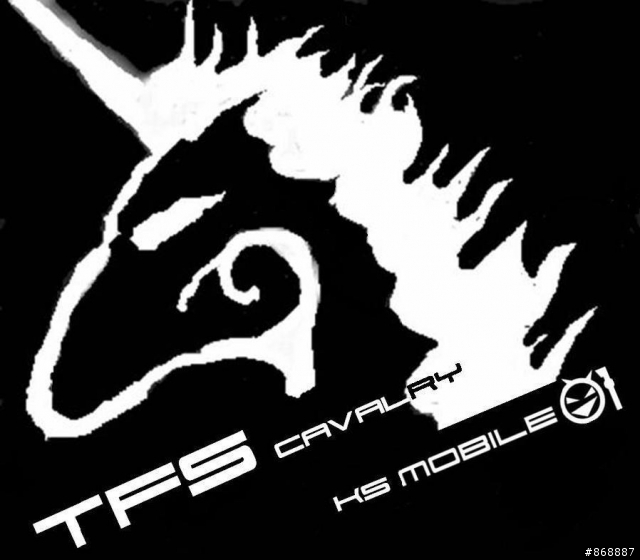 HFS / TFS車架(TFS/520/冠三/牛奶/棒)來簽到吧(TFS騎兵團LOGO~車衣樣板設計)