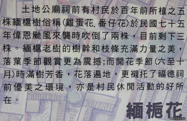 大肚:瑞井古井