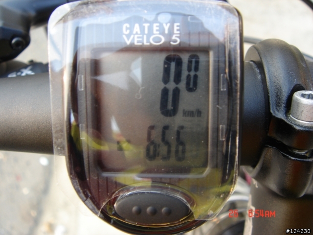 挑戰情人碼頭成功